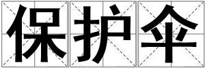 保護傘