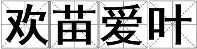 歡苗愛葉