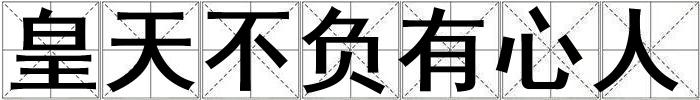 皇天不負有心人