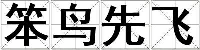 笨鳥先飛