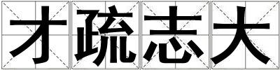 才疏志大