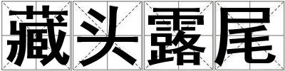 藏頭露尾