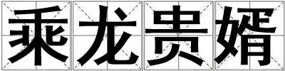 乘龍貴婿