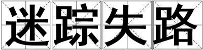 迷蹤失路