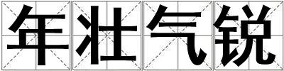 年壯氣銳