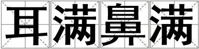 耳滿鼻滿