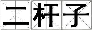二桿子