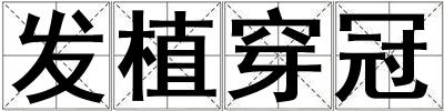 發植穿冠
