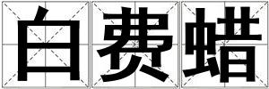 白費(fèi)蠟